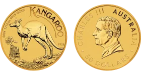 Australijski Kangur 1/10 oz - Au 999 - 3,11g